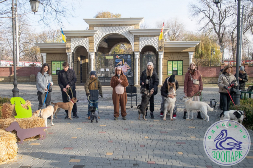 В Одесском зоопарке собакам из приюта искали новых хозяев