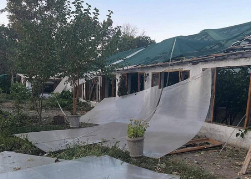 Одесский ботанический сад пострадал после ночного обстрела