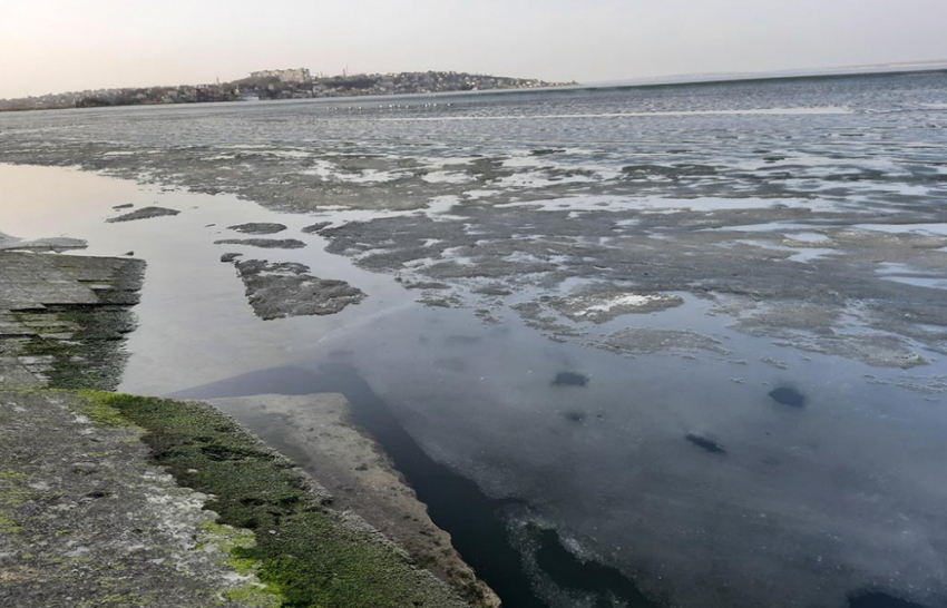 Водоемы Хаджибейского лимана в Одесской области чудом спаслись от гибели