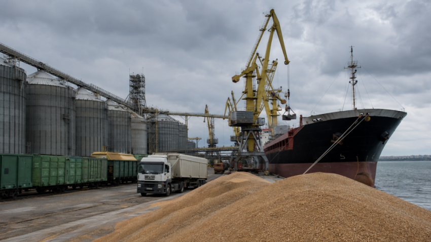 Financial Times: мировые цены на пшеницу побили рекорд из-за ударов по портам Одессы