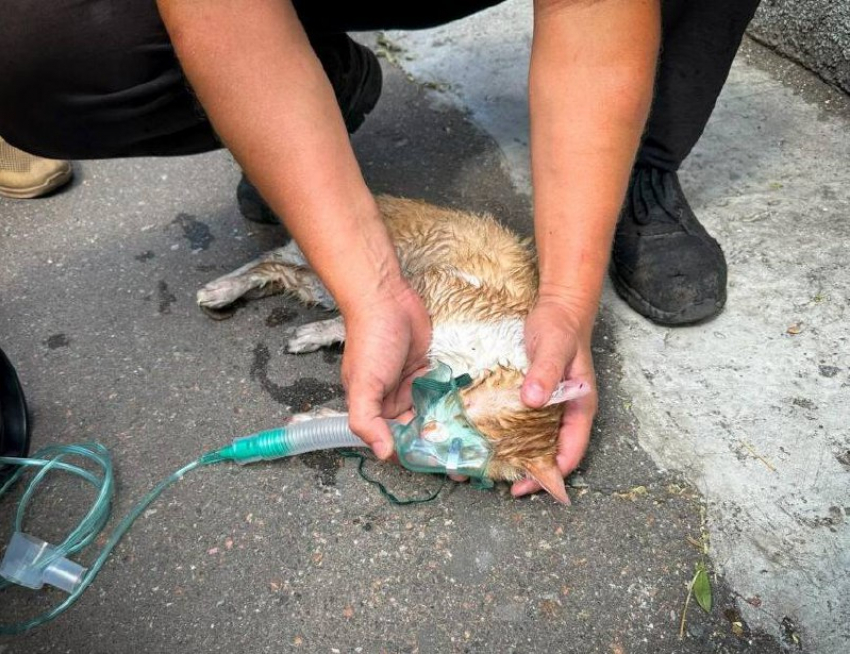 В Одессе загорелся жилой дом