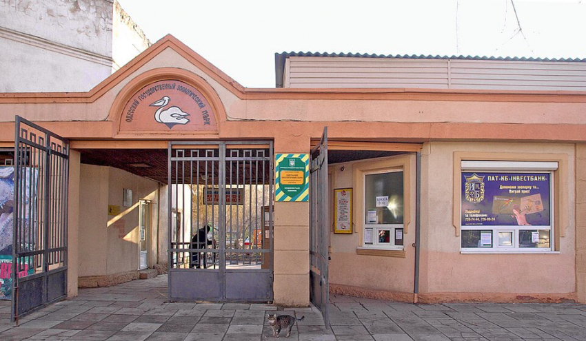 Корма хватает, а держать негде: одесский зоопарк не справляется с наплывом спасённых птиц