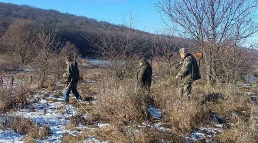 Охоту на лис и шакалов в Одесской области провели с нарушениями