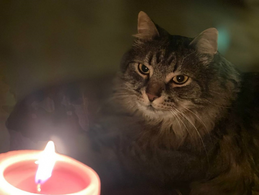  В Одесской области остались без света ещё два района 