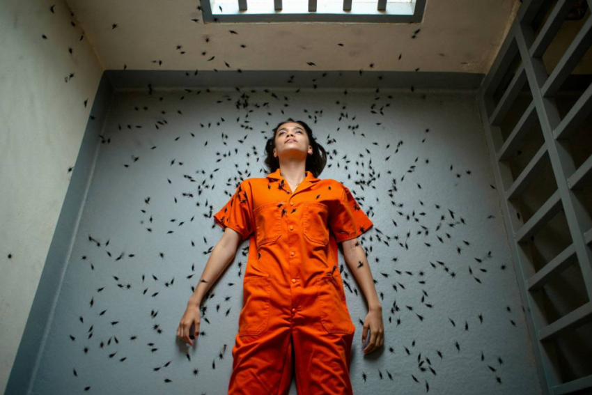 В Одесском СИЗО политзаключенных отравили средством от клопов